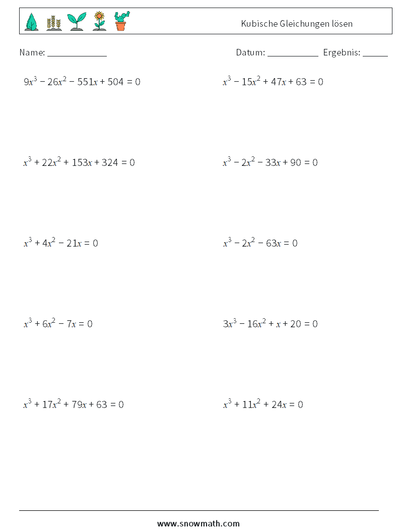 Kubische Gleichungen lösen Mathe-Arbeitsblätter 9