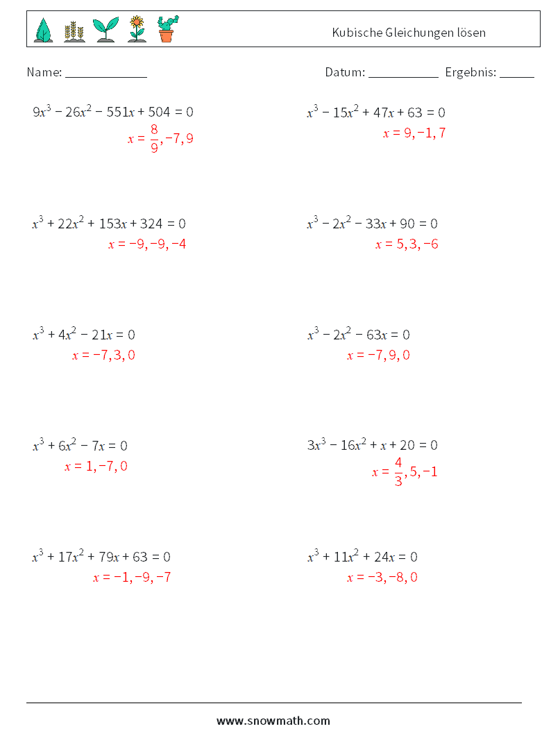 Kubische Gleichungen lösen Mathe-Arbeitsblätter 9 Frage, Antwort