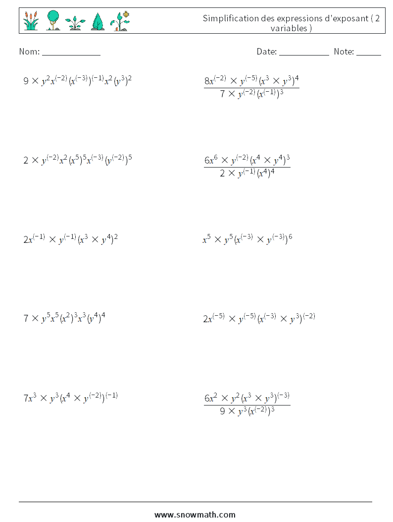  Simplification des expressions d'exposant ( 2 variables )