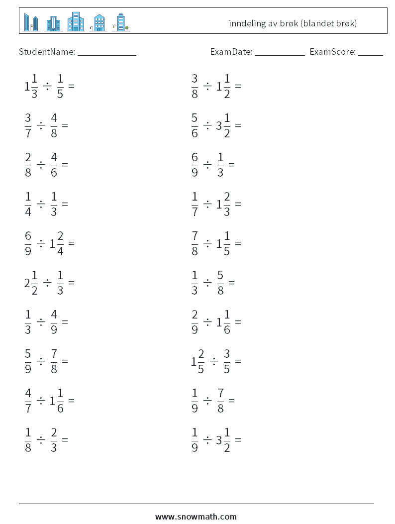 (20) inndeling av brøk (blandet brøk) MathWorksheets 13