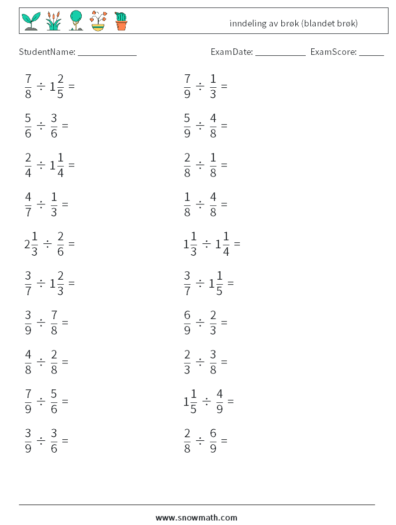 (20) inndeling av brøk (blandet brøk) MathWorksheets 4