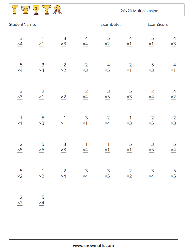 (50) 20x20 Multiplikasjon MathWorksheets 13