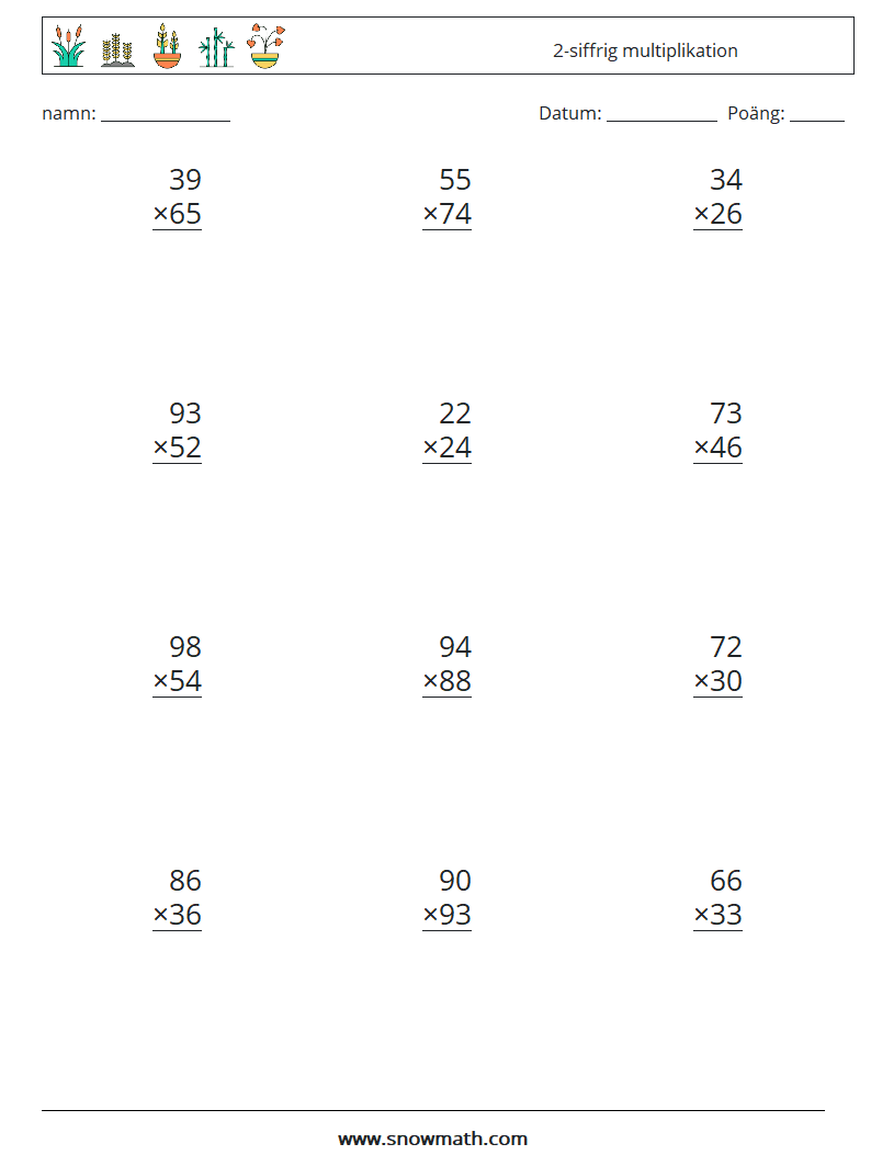 (12) 2-siffrig multiplikation Matematiska arbetsblad 3